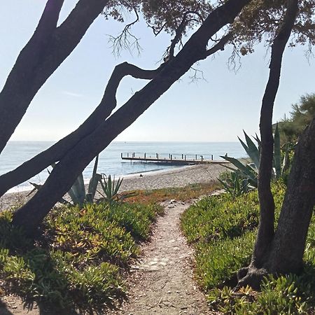Studio A 100M De La Plage Et De La Piscine Cervione Buitenkant foto