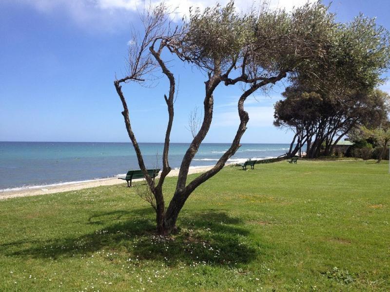 Studio A 100M De La Plage Et De La Piscine Cervione Buitenkant foto