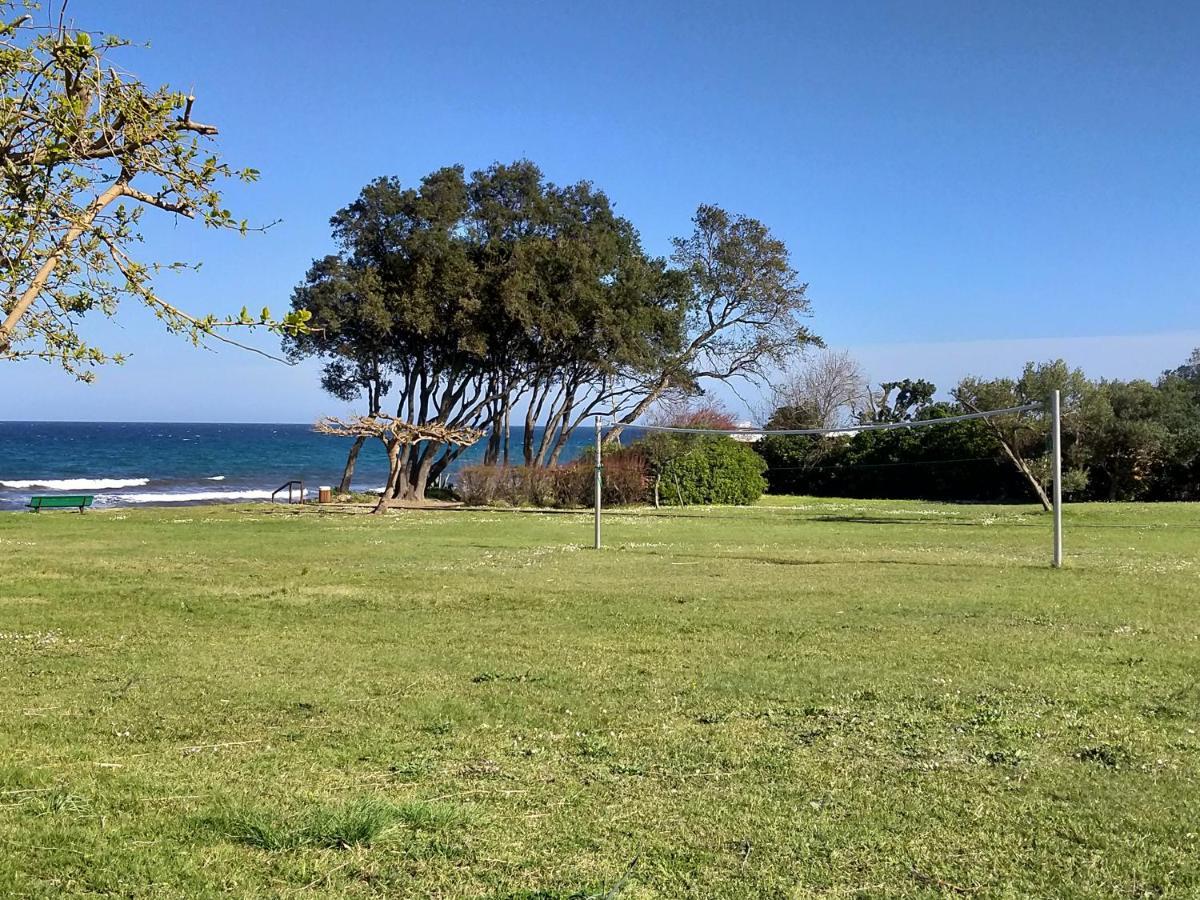 Studio A 100M De La Plage Et De La Piscine Cervione Buitenkant foto