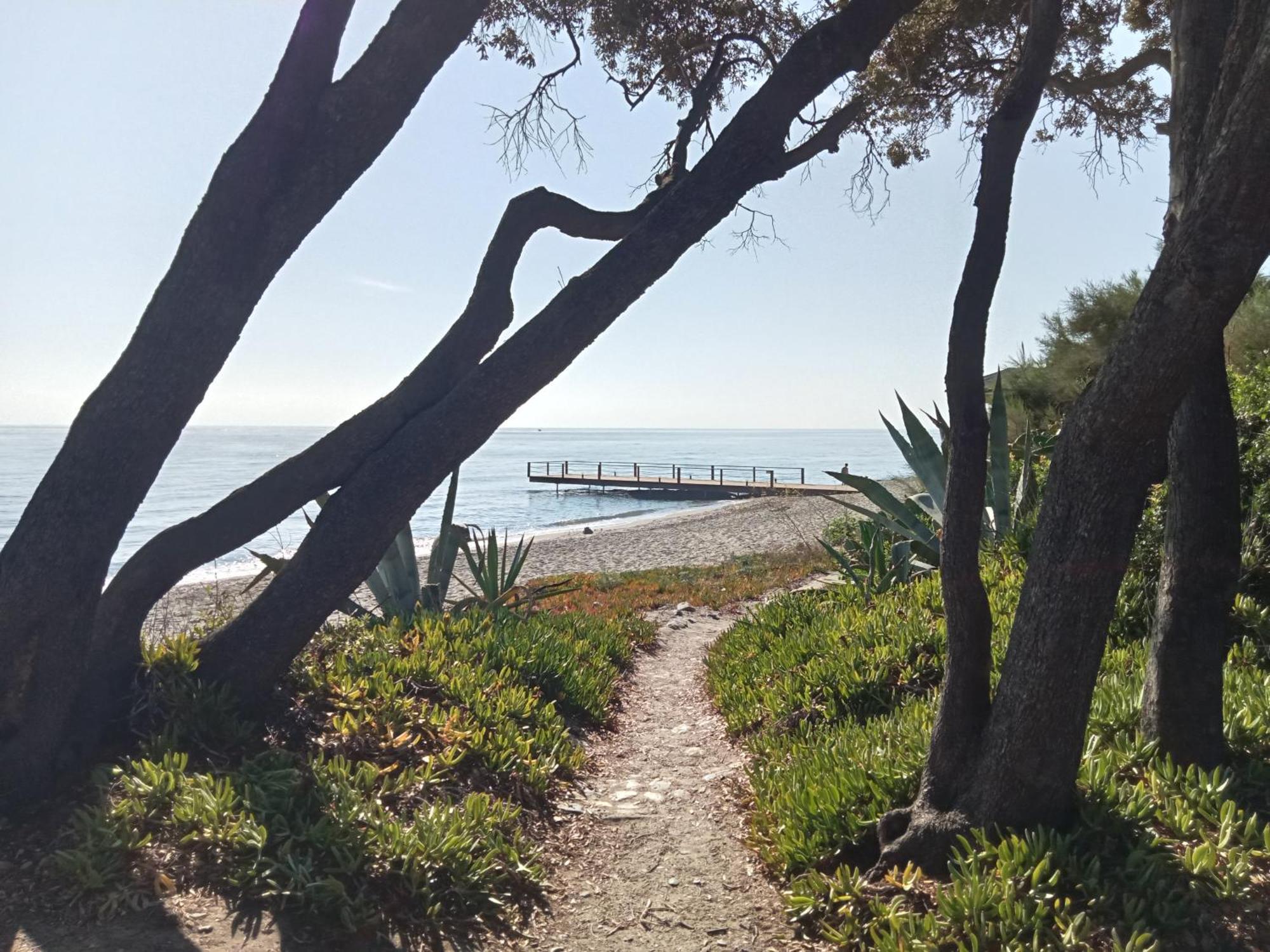 Studio A 100M De La Plage Et De La Piscine Cervione Buitenkant foto
